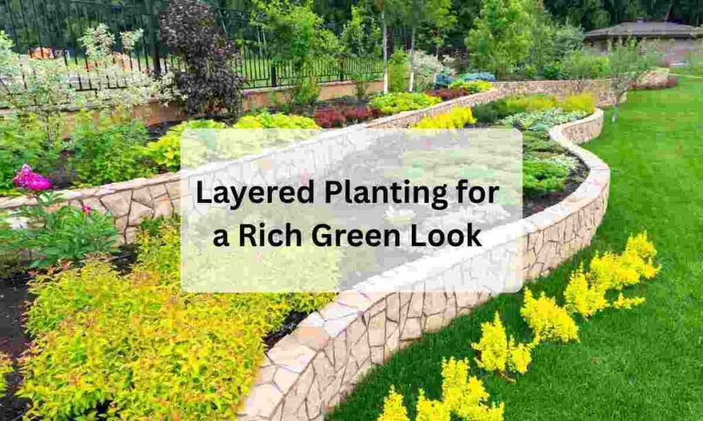 Layered Planting for a Rich Green Look