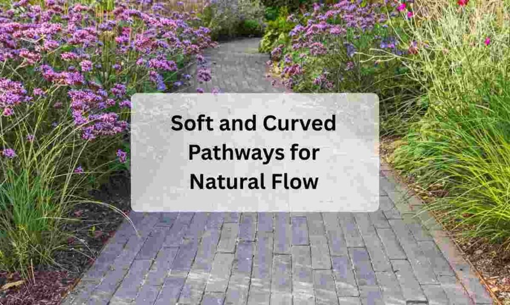 Soft and Curved Pathways for Natural Flow